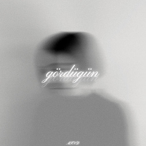 gördüğün
