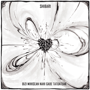 Bizi Mihisea
