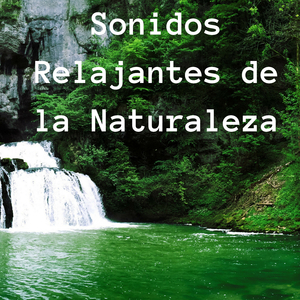 Belleza de la Naturaleza