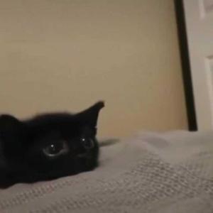 enuf to die (feat. Lungskull)