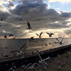 Technology flow?（ProdBy9Zi）