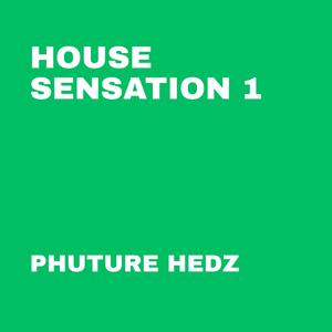House Sensation 1