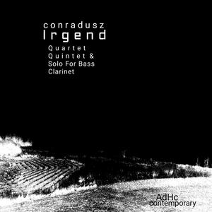 Wozu: Nachklang Der Vögel: Quintet