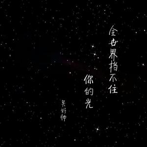 全世界挡不住你的光