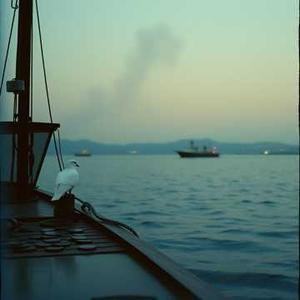 利群都卖十八了