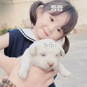 胡博萱and王懿涵