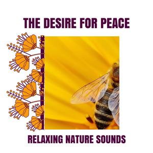 Fascinate Ocean View