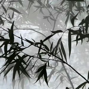 若梦【翻自：周深】