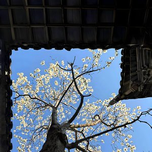 夜色中的秘密 .mp3