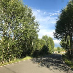 何必用钱谈感情(烧酒话)