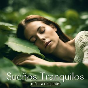 Hacer Hermosos Sueños