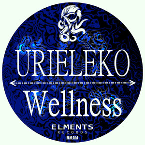 Wellnes (Original Mix)