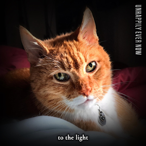 To The Light