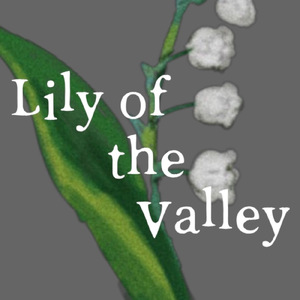Lily of the Vally
