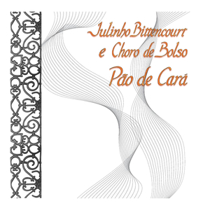 Limpador de Parabrisa