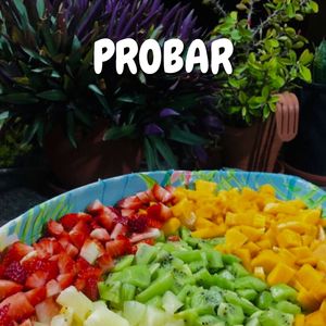 Probar