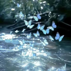 哈基米起床( BGM版)