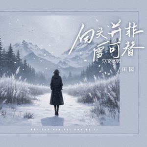 白头并非雪可替 (DJ浩然版)