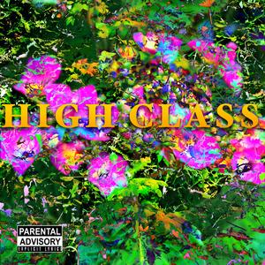 HIGH CLASS