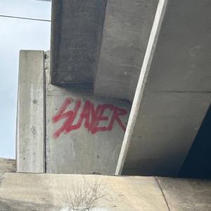 BS