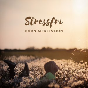 Emotionell reglering