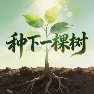 种下一棵树