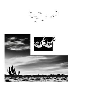 shoot me (Radio Edit)