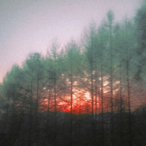 新鲜