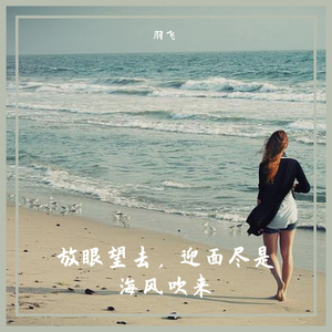 放眼望去，迎面尽是海风吹来。