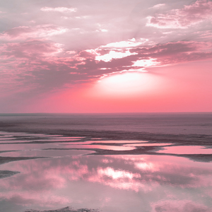 바흐/구노 : 아베 마리아