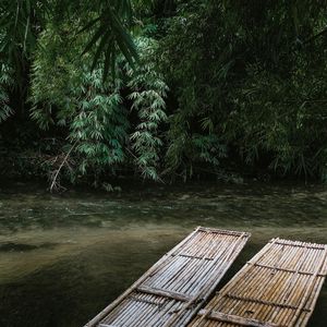 少年听雨歌楼上