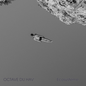 Ecosystème