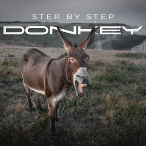 Donkey (Extended Mix)