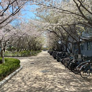 单身狗的碎碎念嘴替（Prod.Gr33nart Beats）