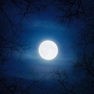 If We Fight（CAZ remix）