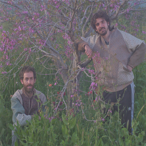 מילים אין סוף