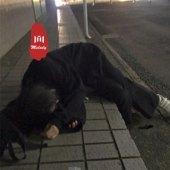 精神摇头小曲 (DJ版)