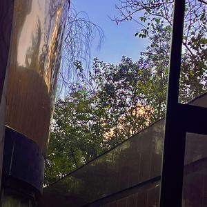 忽而今夏(翻自汪苏泷)