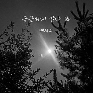궁금하지 않나봐