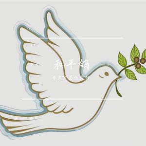 和平鸽的光芒