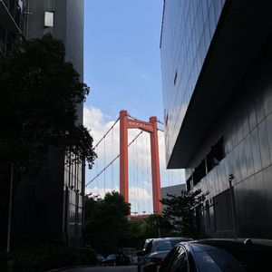 鹦鹉洲