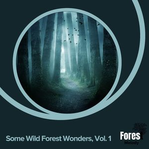 The Great Outdoors and Insect Noise