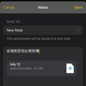 此海豹的忧郁程度恐怕在我之上