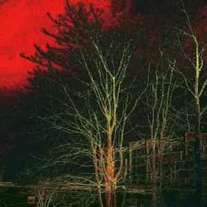 det OvR w/lime99, 4654carpetmuncher (feat. 4654carpetmuncher & lime99)