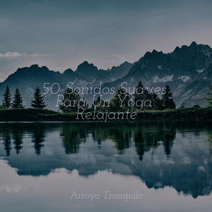 Luz Estelar Radiante