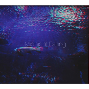 Midnight Falling