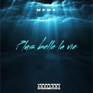 Plus belle la vie