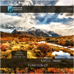 Funktion (Katzen Remix)