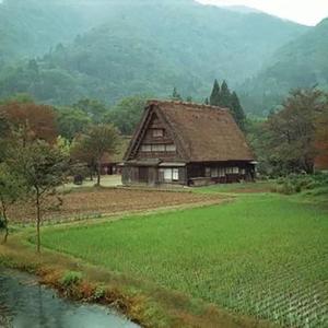 山野里的百里香 古典吉他