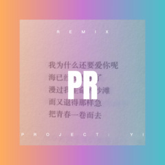 宝马车里哭泣的女人 (Remix)